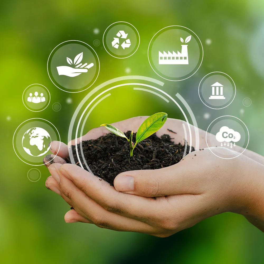 Engineering Sustainability