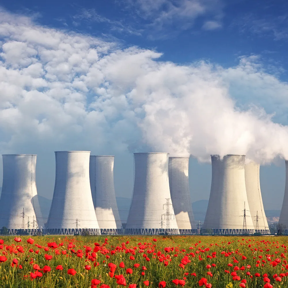 Nuclear Power Plant
