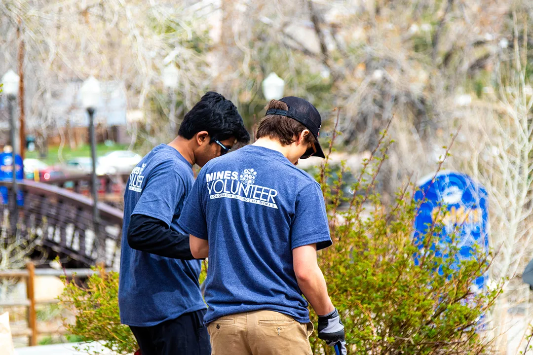 Two Mines students wearing Mines volunteer shirts working together outside looking at plants