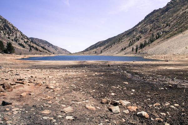 Photo showing the impacts of drought