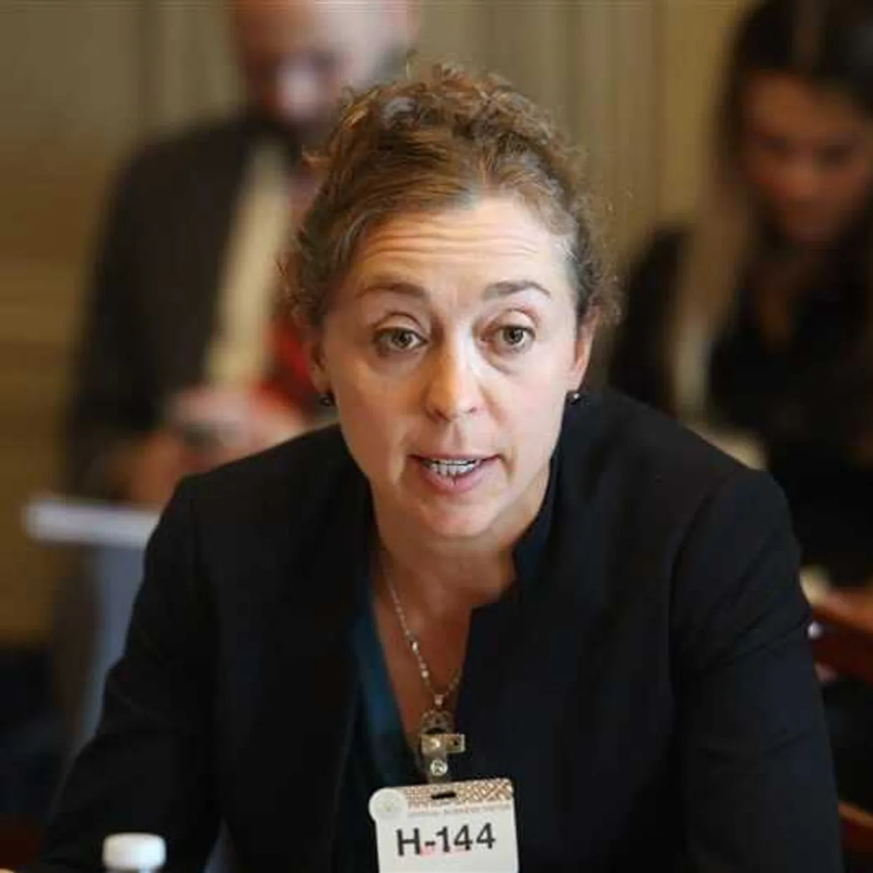 Elizabeth Holley speaking at a meeting, wearing a black blazer and a name tag labeled 