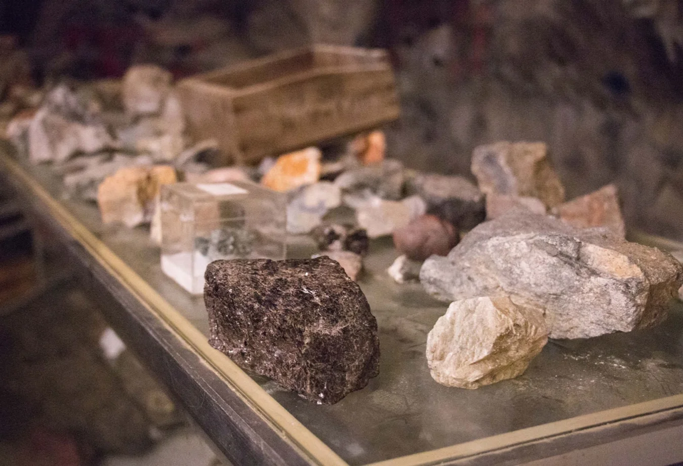 A collection displays various types of igneous, metamorphic, and sedimentary rocks alongside mineral specimens