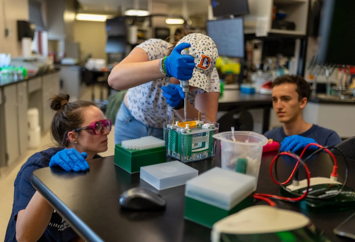 Female and male students conducting scientific research test, using pipette and specailized equipment in a laboratory setting.