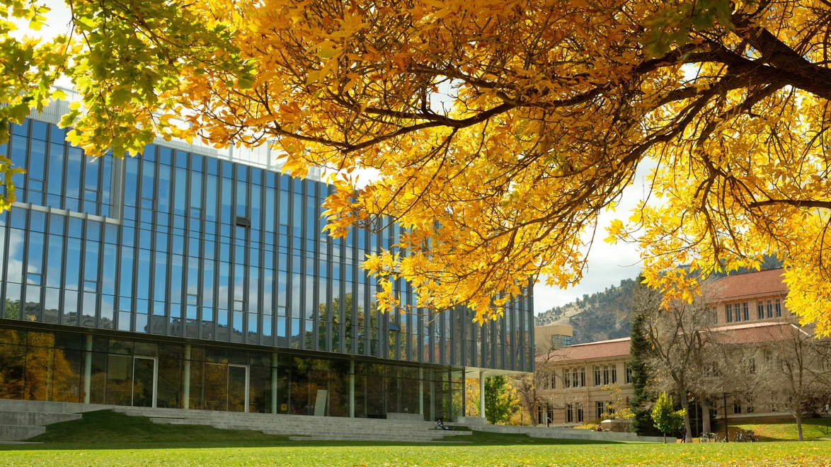 CoorsTek building on Kafadar Commons with a yellow-leaf tree in the foreground