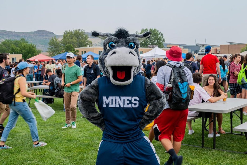 Blaster the Burro at Celebration of Mines