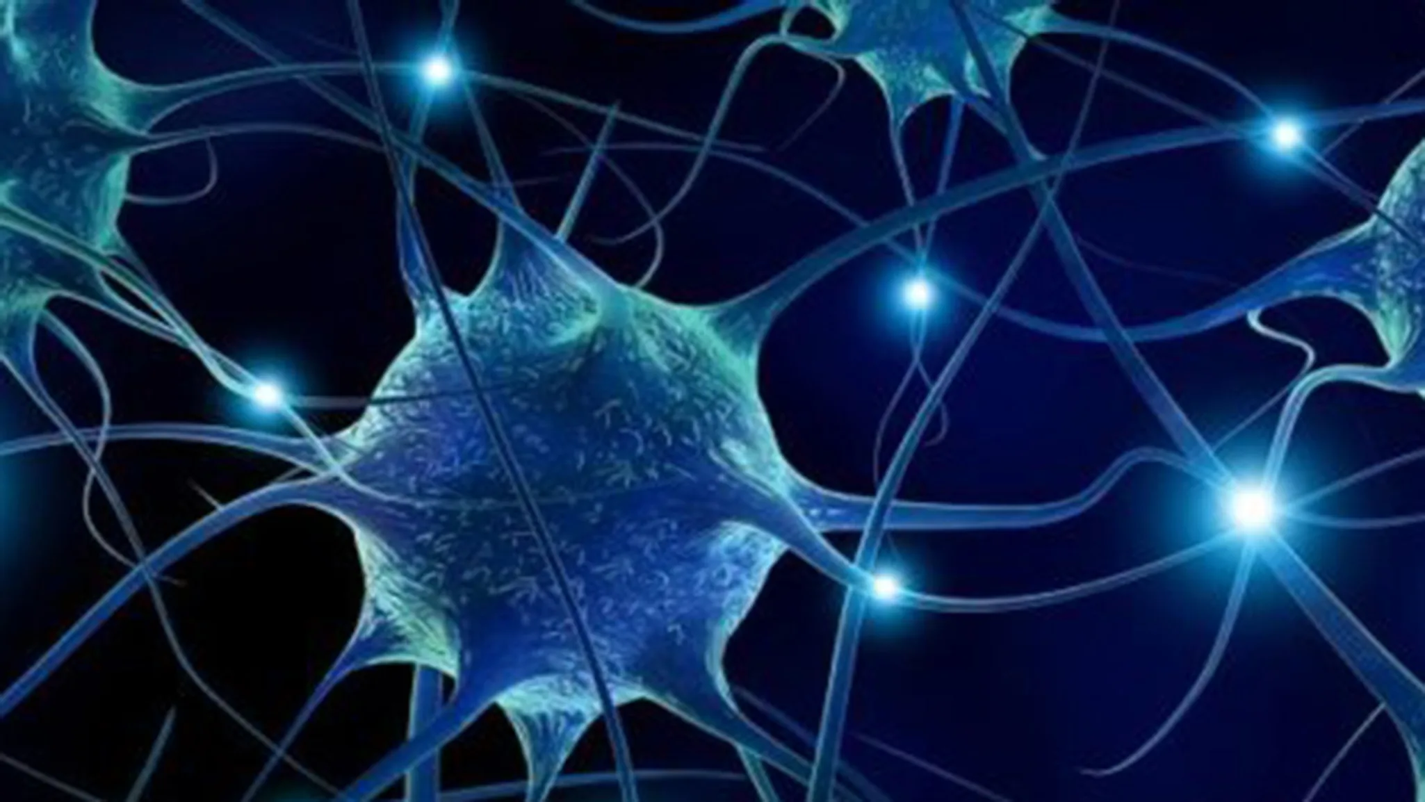 neurons with blue lights in the middle of them.