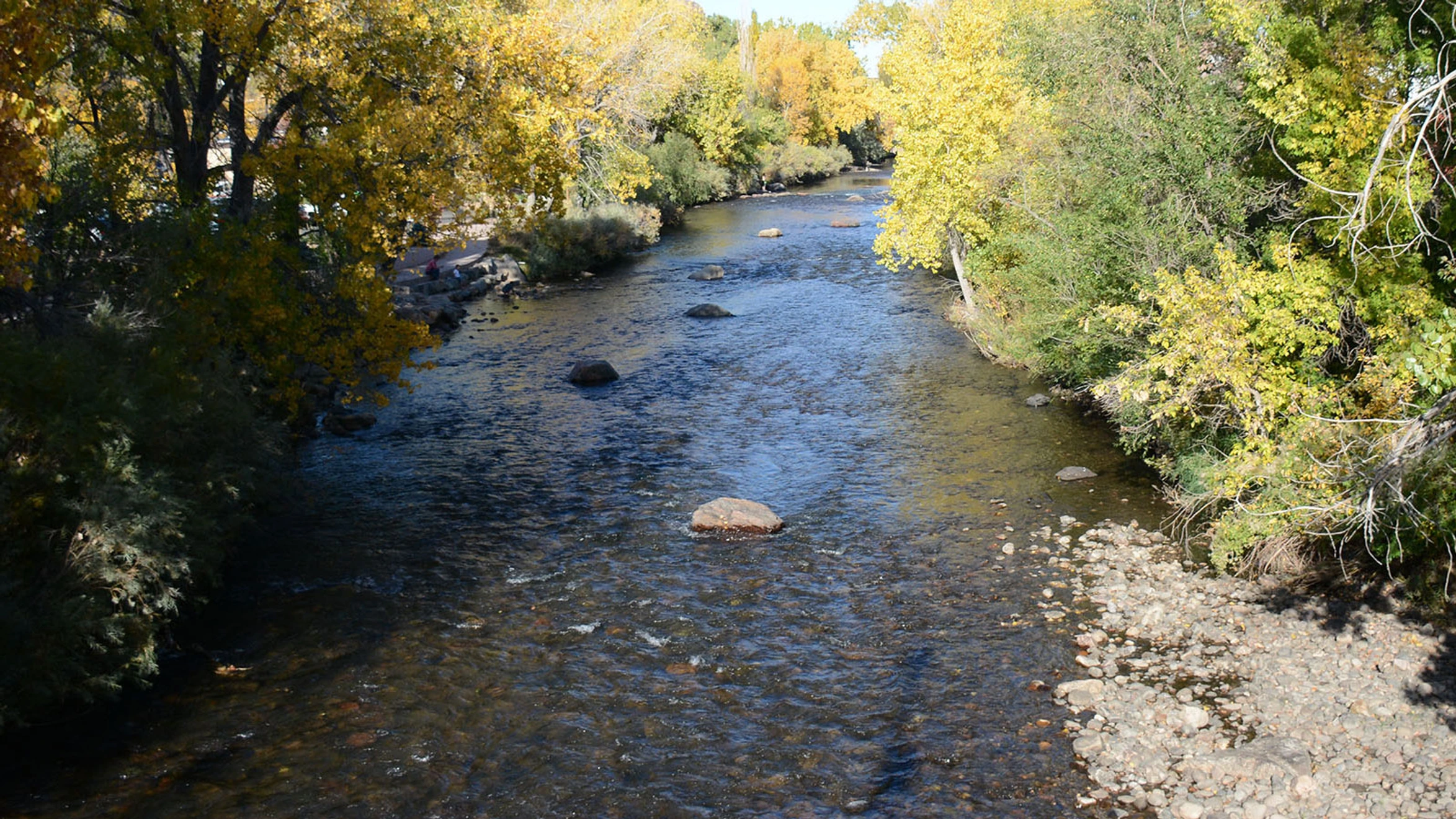 A river running through a forest filled with trees.
