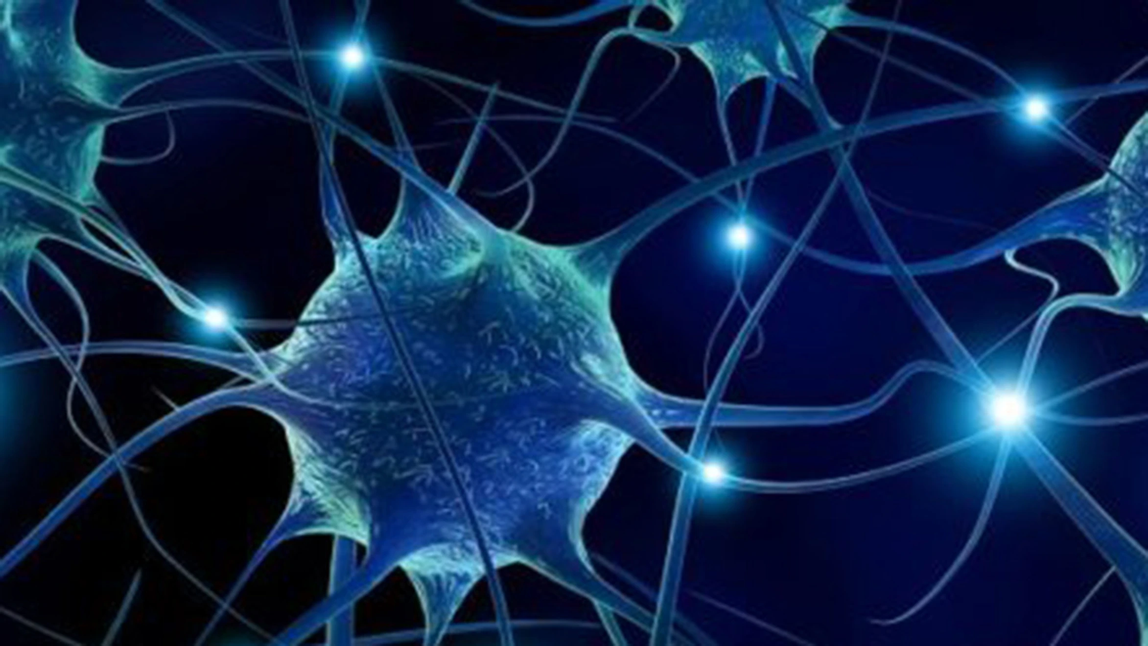 neurons with blue lights in the middle of them.