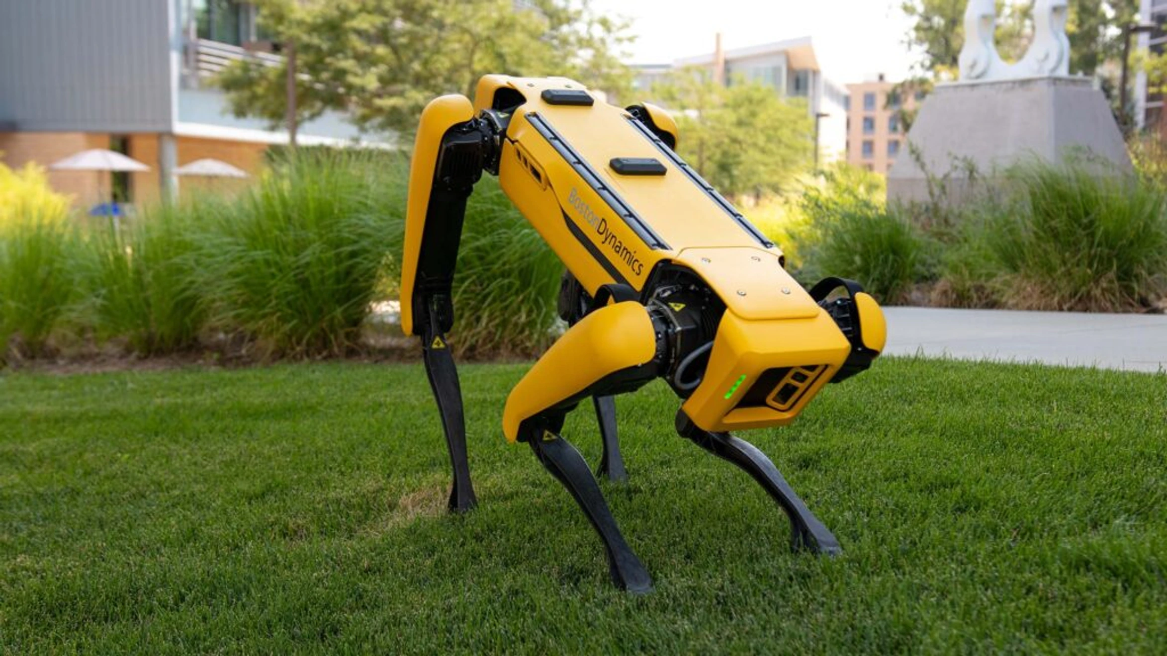 a yellow and black robot sitting on top of a lush green field.