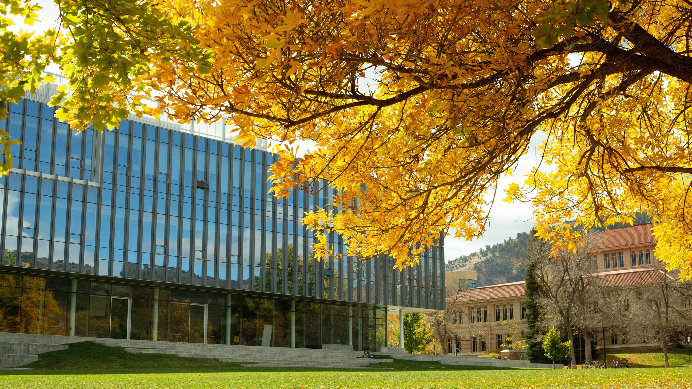CoorsTek building on Kafadar Commons with a yellow-leaf tree in the foreground