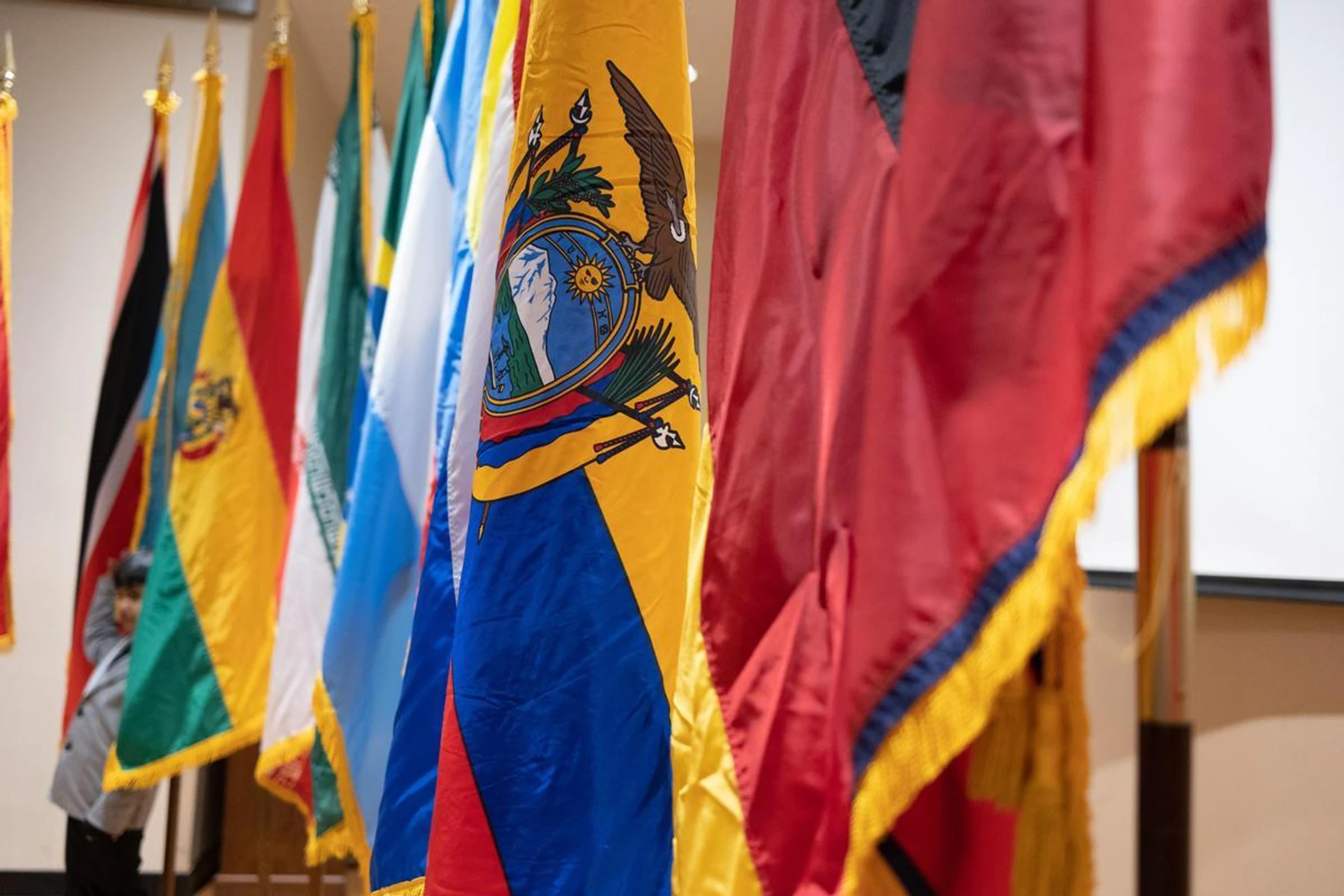 Flags of various countries, including Ecuador in focus, displayed indoors with a person partially visible in the background.