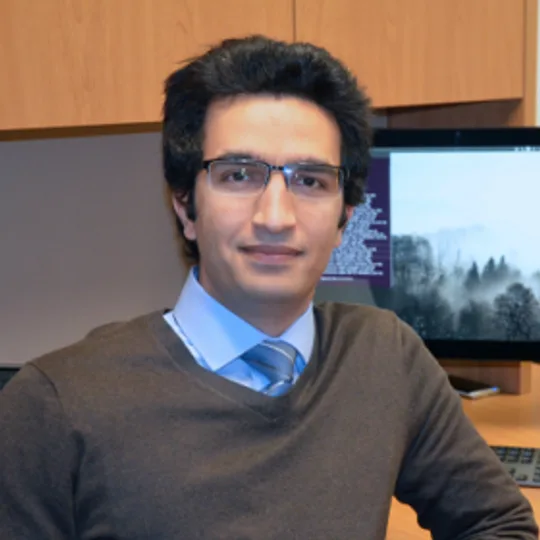 Pejman Tahmasebi profile picture
