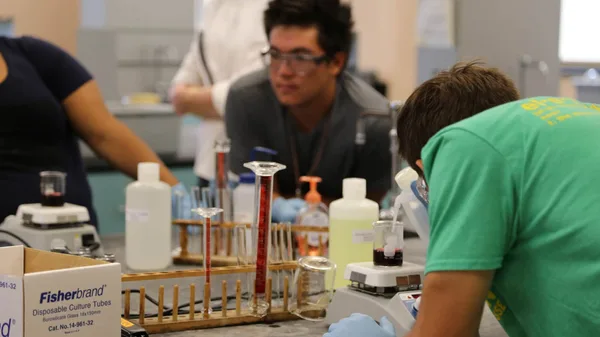 A group of people working in a lab.