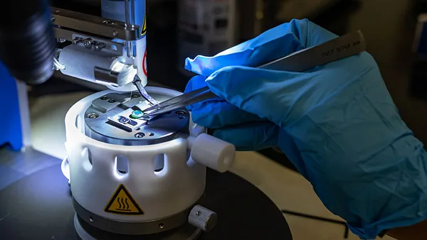 A person in blue gloves is using a microscope.