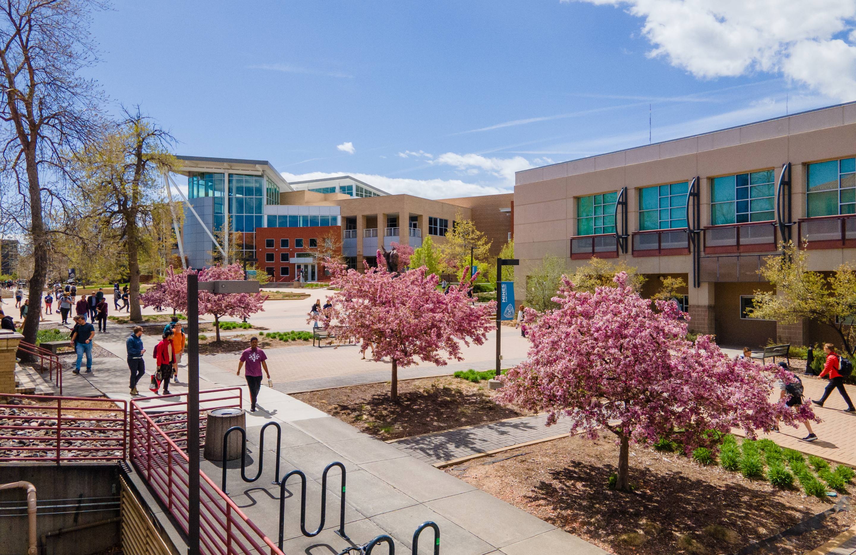 Mines Students walk through a campus plaza lined with blooming pink trees.