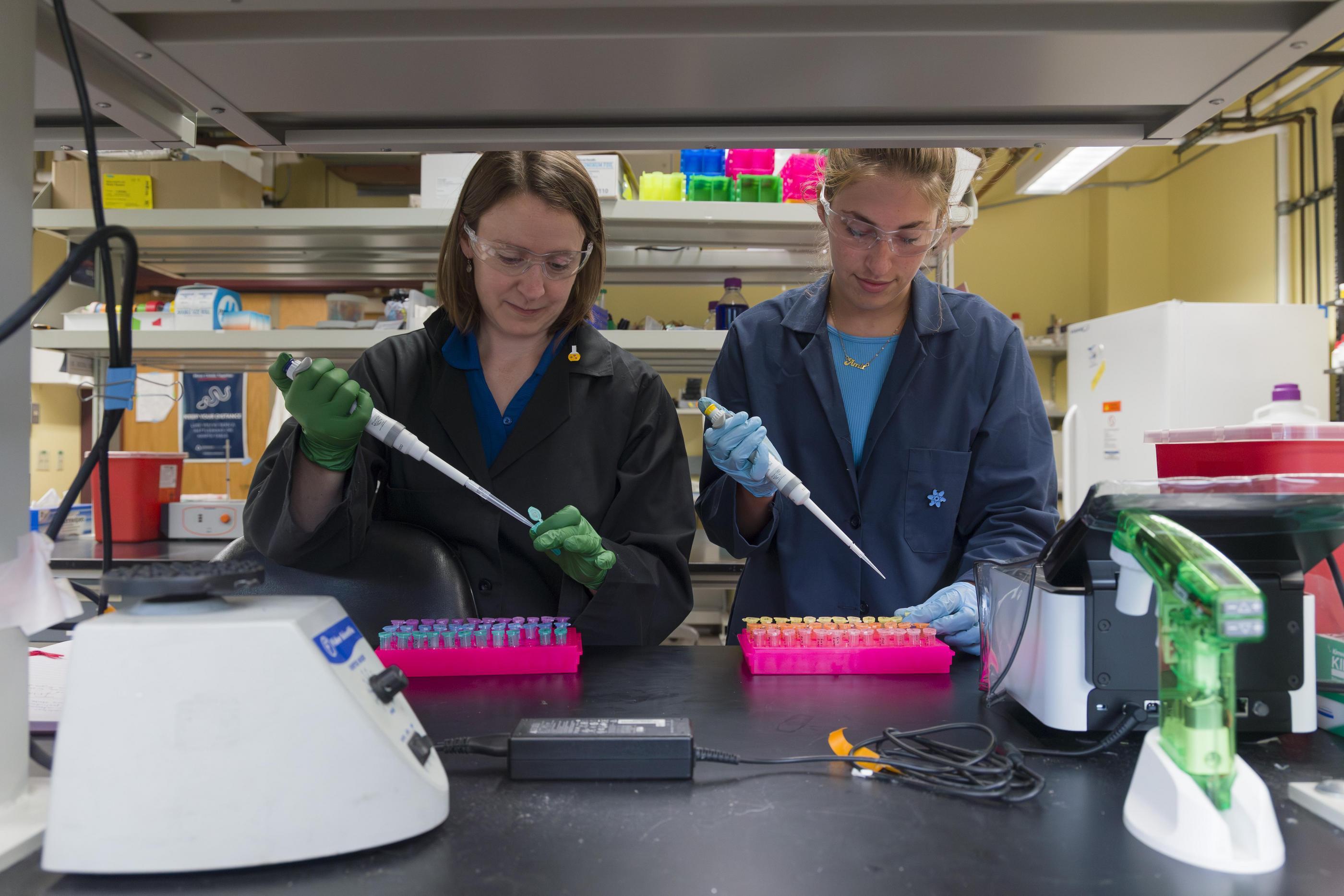 Nikki Farnsworth and a student researcher work in the lab