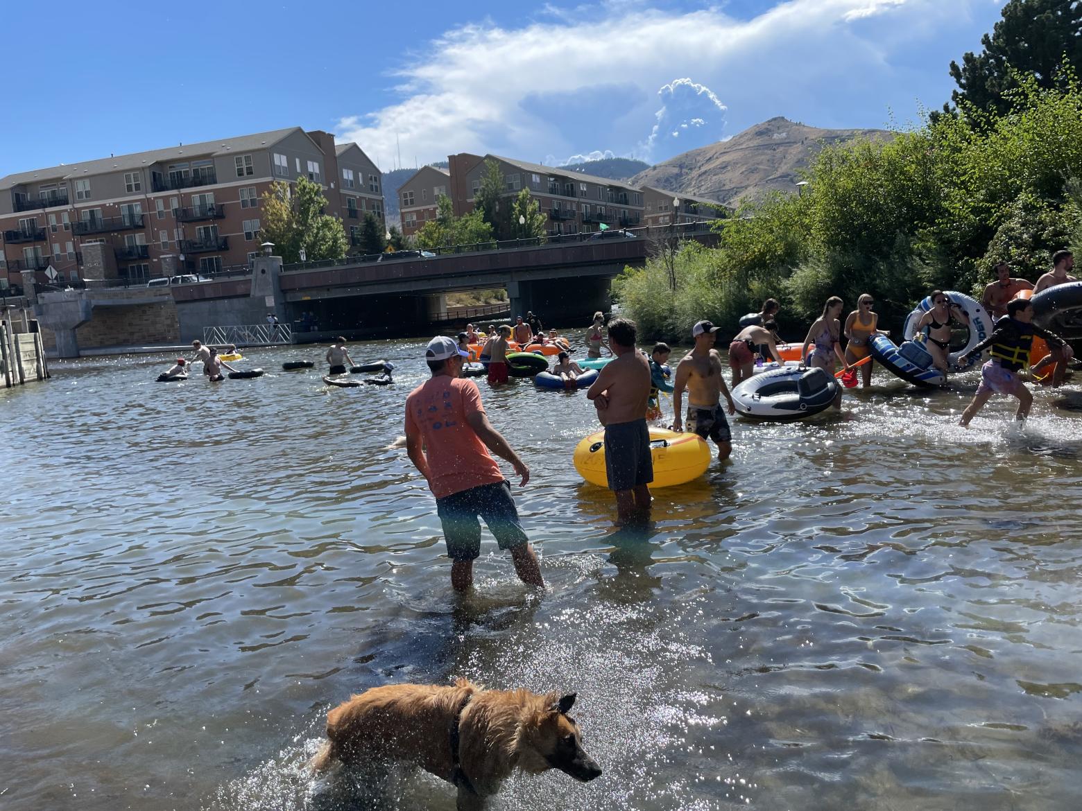 People, tubers and dogs wade into Clear Creek in Golden