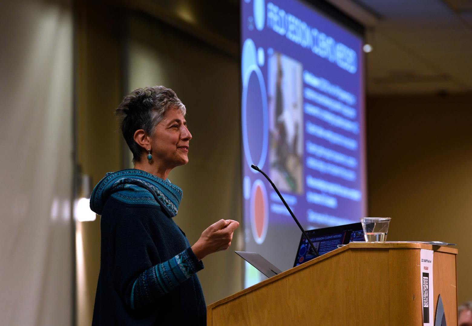 Iris Bahar speaking during the 2023 C-MAPP poster event