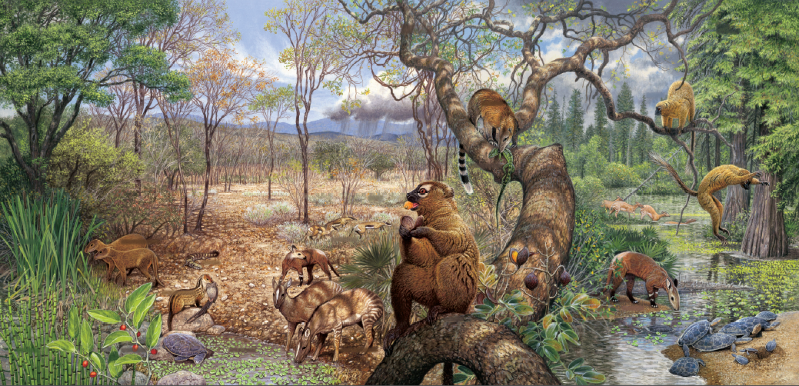A detail from “The Trek through Time” depicting the Paleocene Epoch