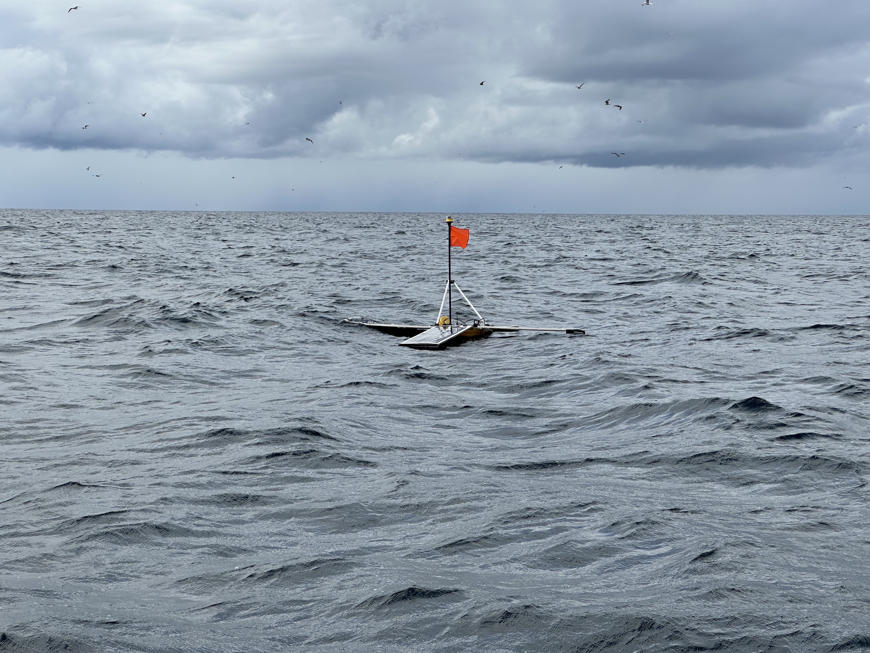 A sensor with a neon orange flag floating in the open ocean with clouds and birds above.