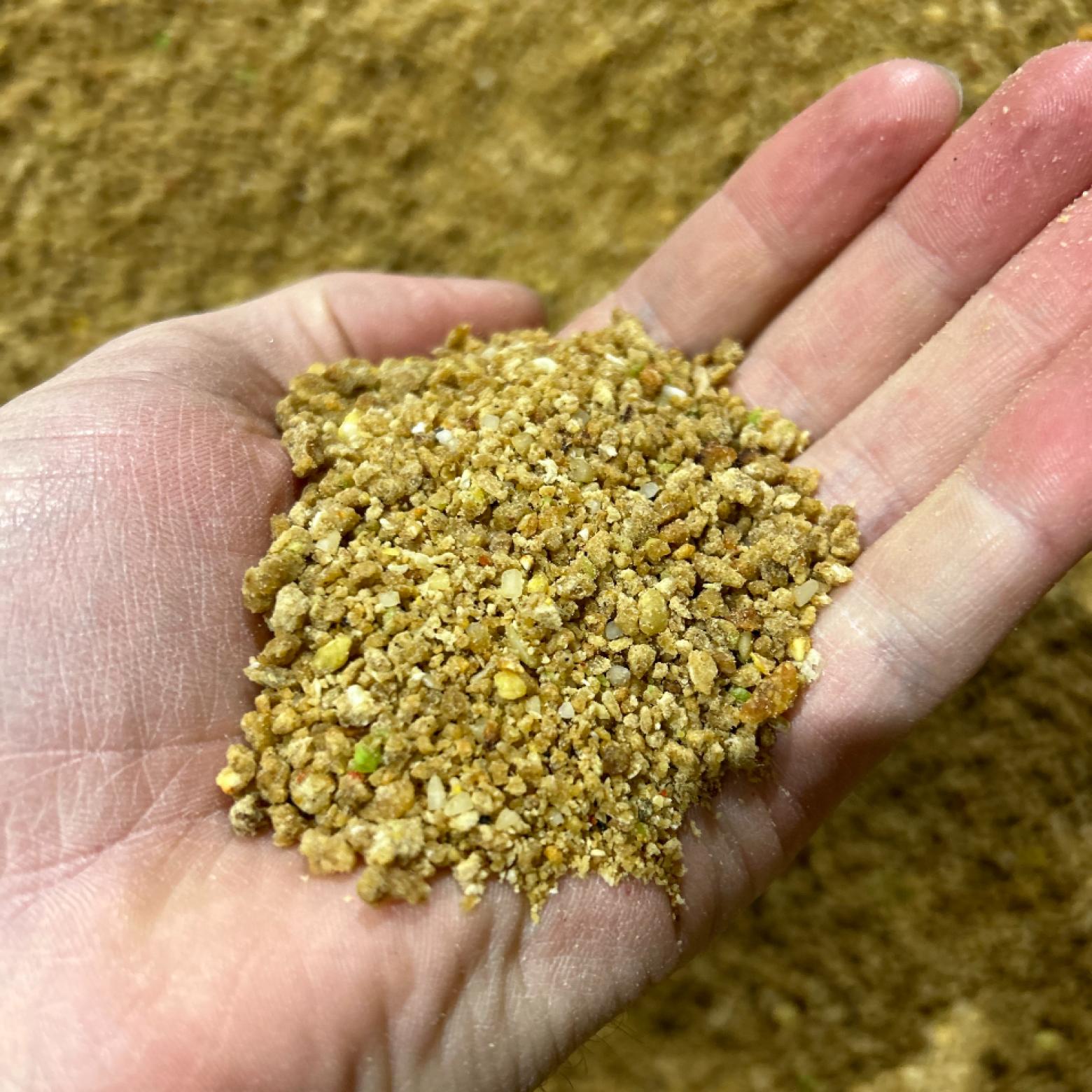 A close up of grain and earth in the palm of a hand