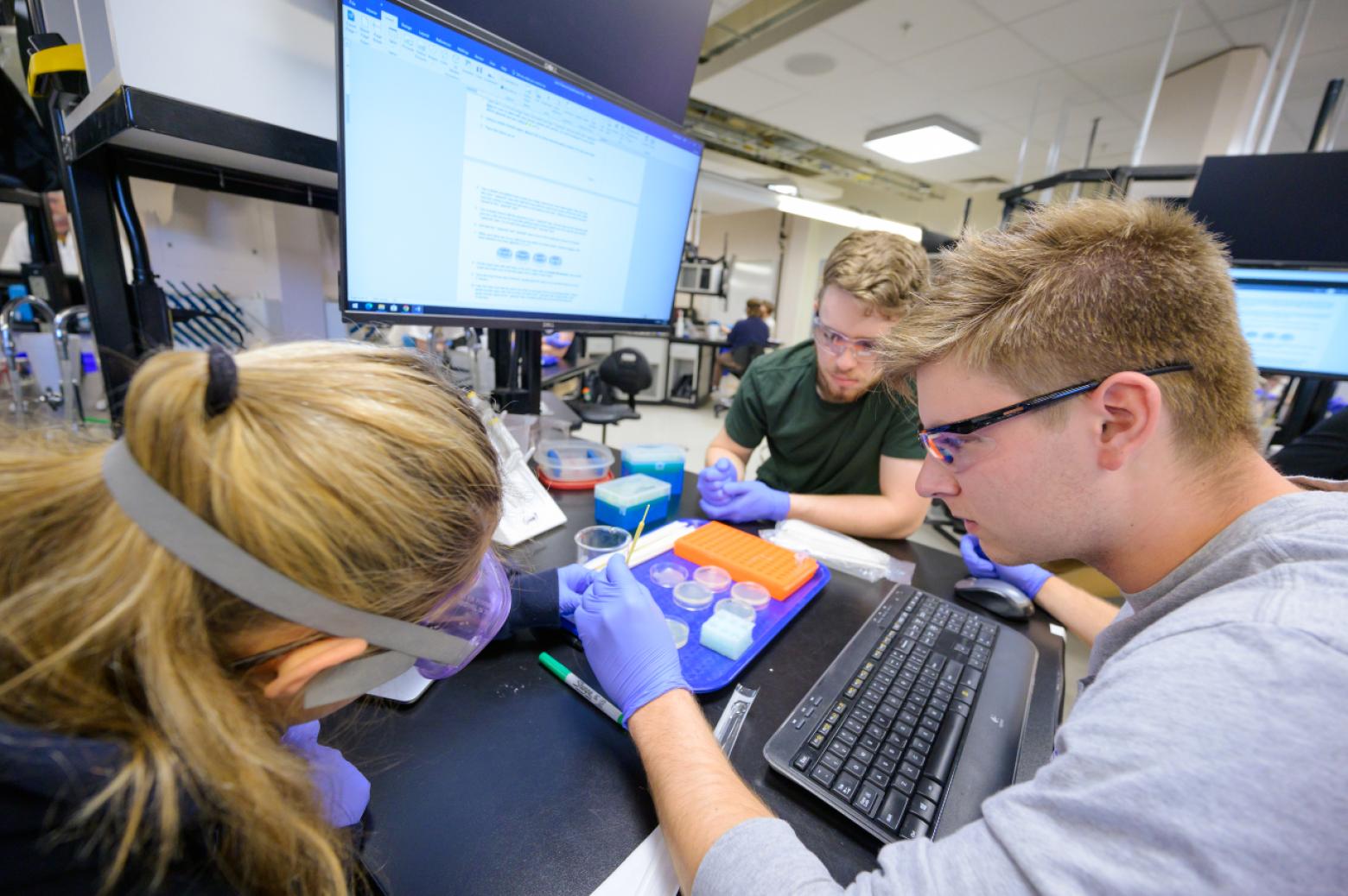 Mines Quantitative Biosciences and Engineering students working in the lab