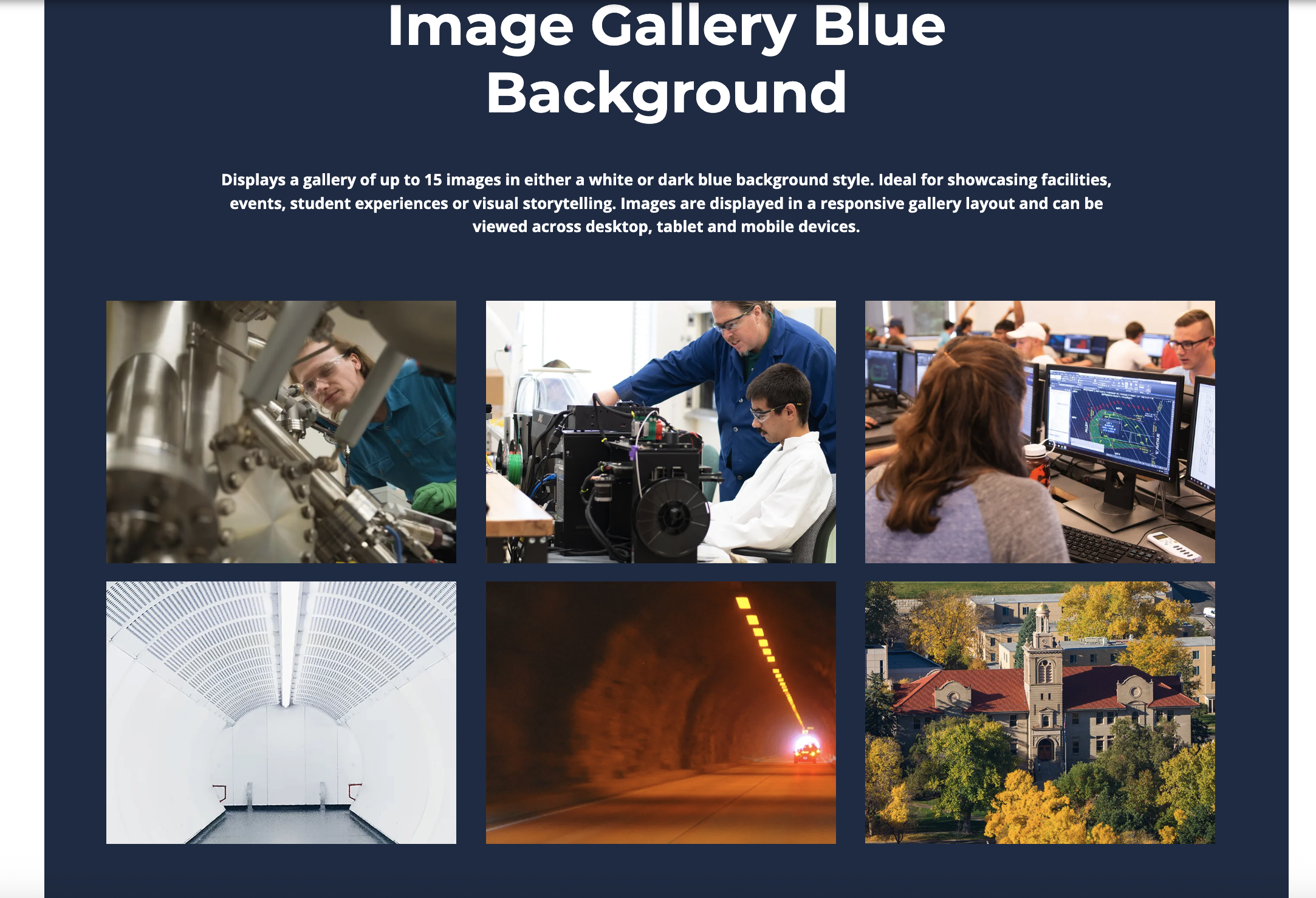 Screenshot of the Image Gallery content type