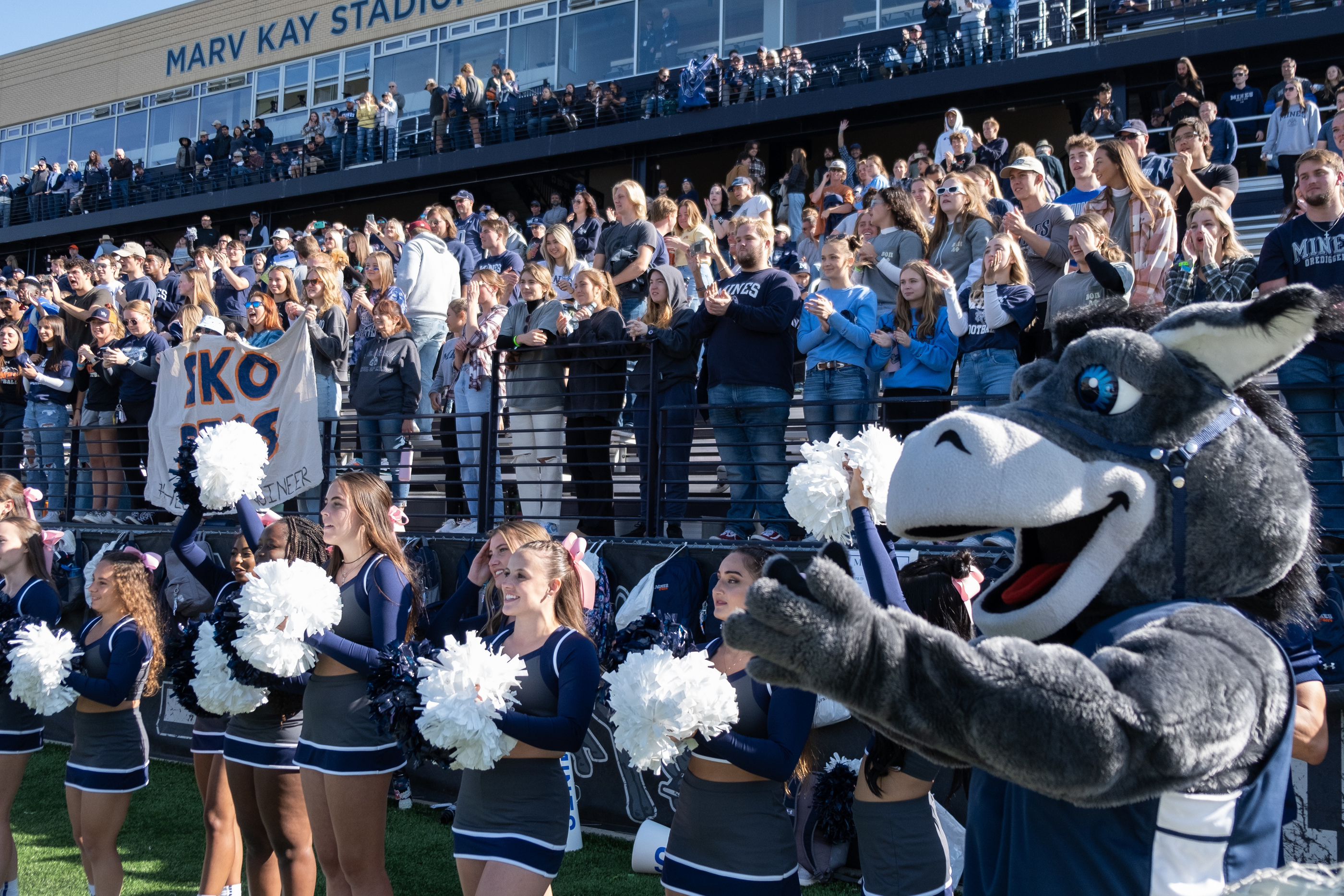 Mines cheerleaders and Blaster the burro cheer in front of Mines fans in the football stands